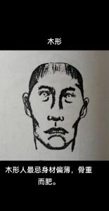 木型人的体型特征