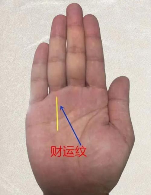 真正大老板的手相钱财无忧