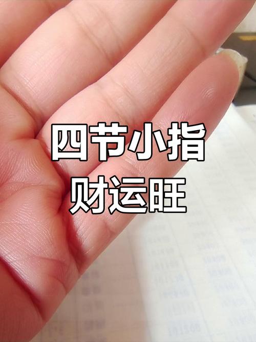小拇指四节是什么命