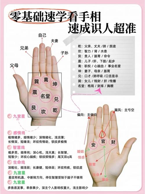 女人手相35岁后看左手 女人手相看运势