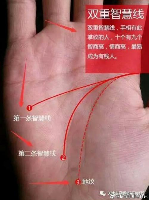 从手相来看哪些人具备较高的智商天生聪明