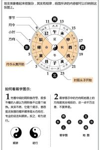 解析：酉时头生预示着什么？