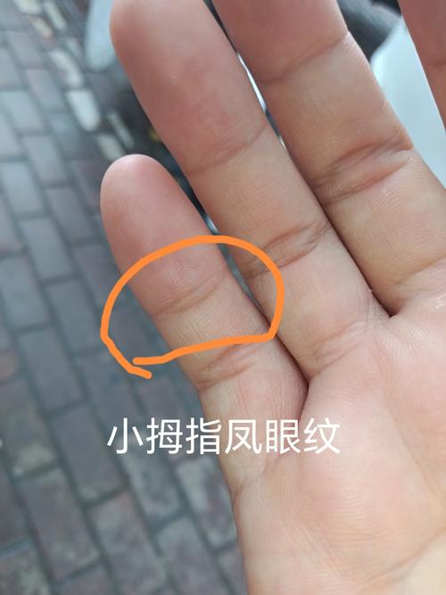 食指有凤眼纹能遇难呈祥是真的吗