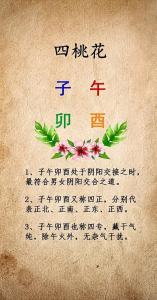 八字哪个桃花最漂亮 子午卯酉四种命格长相漂亮帅气