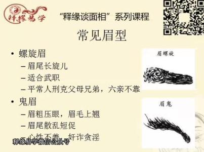 螺旋眉的人容易感情用事吗