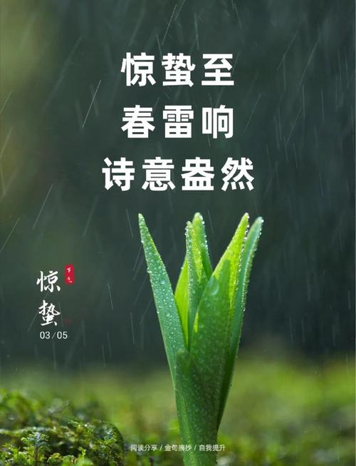 惊蛰的生日好不好  个性独立有领导才能
