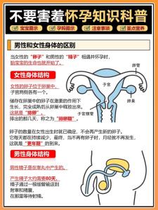 女人怀孕时的风水注意事项