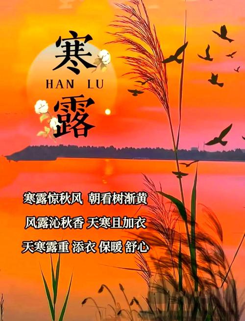 寒露前后出生的孩子运势 可吸引着来自四面八方的财富