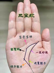 哪种手相注定有钱，宋守兰这名字有福嘛?