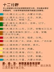 哪个城市适合你发展