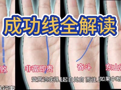 手相没有成功线，有不可估量的前程？