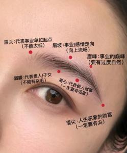眉毛前浓后淡的人命运