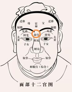 印堂面相详解