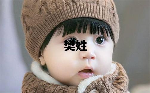 樊姓取名朗朗上口的女宝宝名字