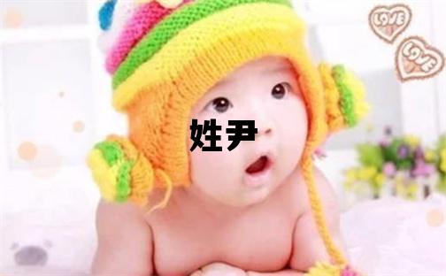 姓尹叫什么名字好 姓尹的男孩洋气的名字