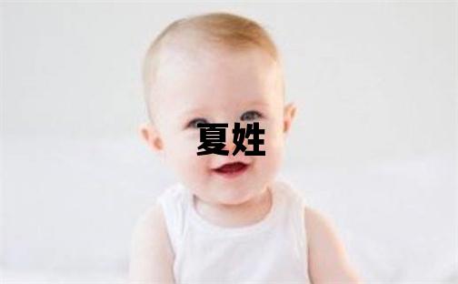 夏姓有诗意的女孩名字