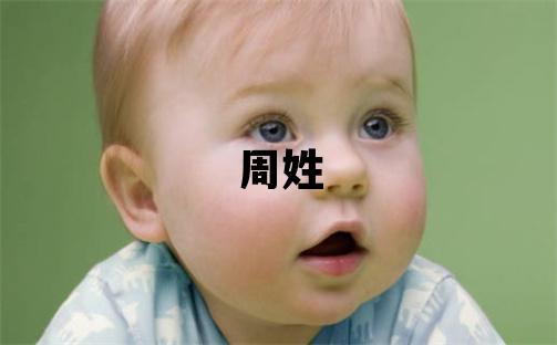 周姓优美大方的男孩名字