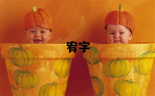 宥字五行属什么 宥字取名寓意男孩