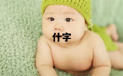 什字五行属什么 什字取名寓意女孩