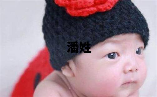 潘姓有气质的女宝宝名字