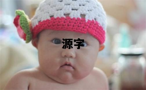 源字取名的寓意和含义 男孩用源字取名