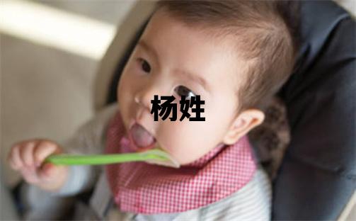 杨姓大气文雅的男宝宝名字