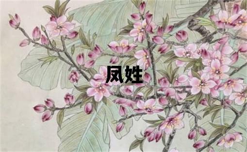 凤姓取名有涵养的男宝宝名字