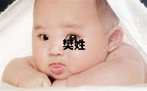 樊姓优美的女宝宝名字