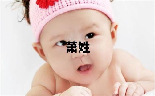 萧姓有涵养的男宝宝名字