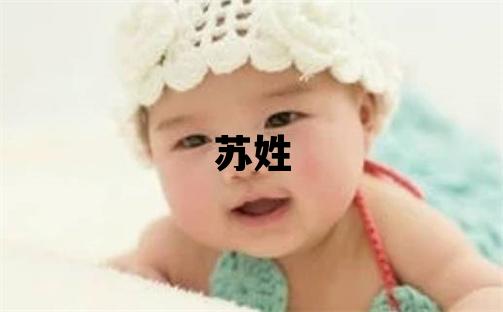 苏姓有诗意的女孩名字,取什么名字好