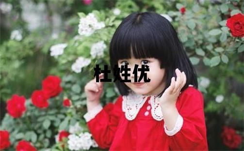 杜姓优美的男孩名字
