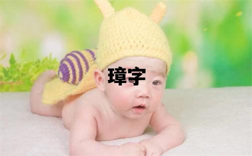 璋字五行属什么 璋字男孩最佳组合名字