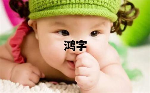 鸿字取名的寓意和含义 男孩用鸿字取名