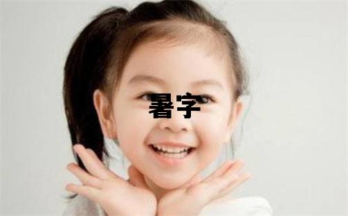 暑字取名的寓意和含义 女孩用暑字取名