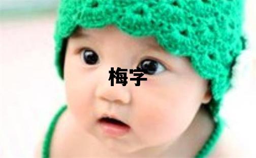 梅字取名的寓意 梅字取名的寓意女孩