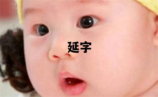 延字取名的寓意和含义 男孩用延字取名