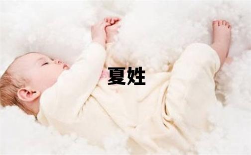 夏姓有灵气的男宝宝名字