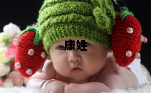 康姓有智慧才气的男孩名字