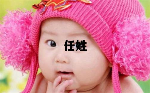 任姓优美大方的男孩名字,取什么名字好