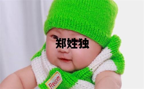 郑姓独特优美的女宝宝名字