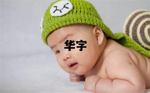 华字五行属什么 华字取名寓意男孩