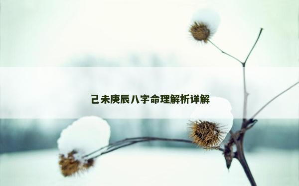 己未庚辰八字命理解析详解