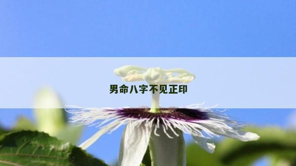 男命八字不见正印