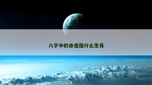 八字中的命是指什么生肖