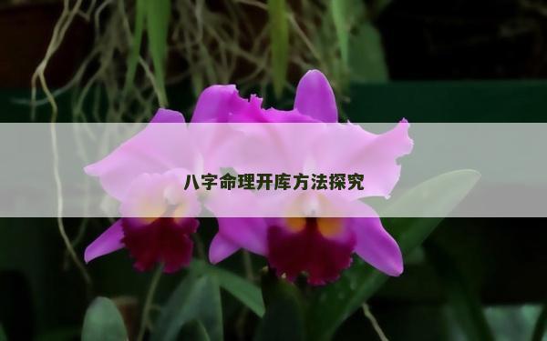 八字命理开库方法探究