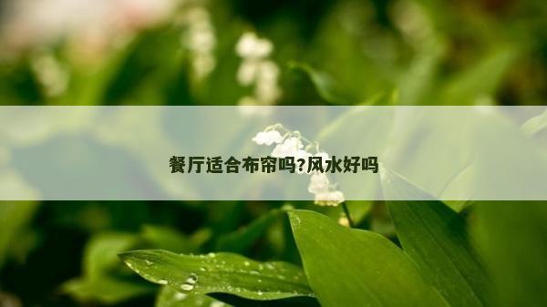 餐厅适合布帘吗?风水好吗
