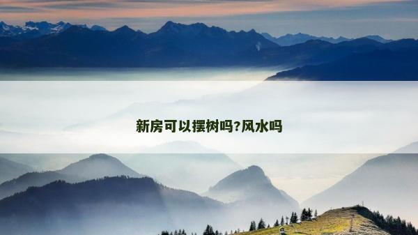 新房可以摆树吗?风水吗