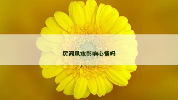 房间风水影响心情吗