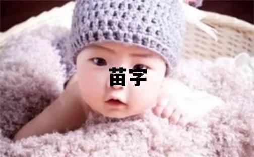苗字取名的寓意 苗字取名的寓意女孩