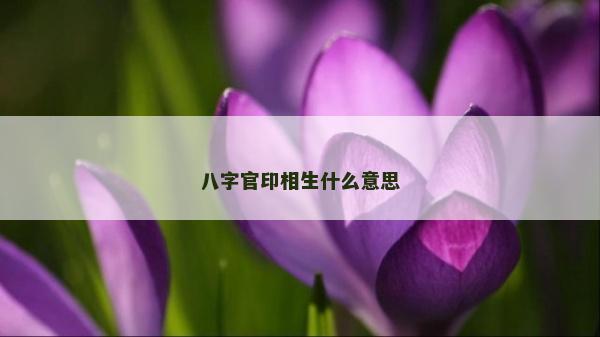 八字官印相生什么意思